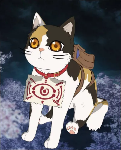 B : ?C : Chachamaru.De qui est-ce le chat ?