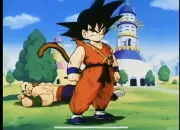 Quiz Dragon Ball - Qui est-ce ?