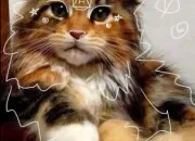 Quiz Connais-tu bien les th�rians ?