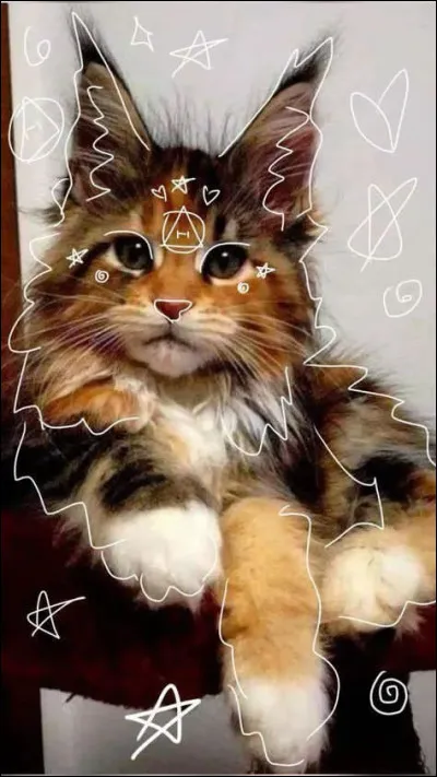 Les th&eacute;rians et la communaut&eacute; LGBTQIA+ sont-ils li&eacute;s ?