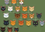 Quiz LGDC : Les Trois !