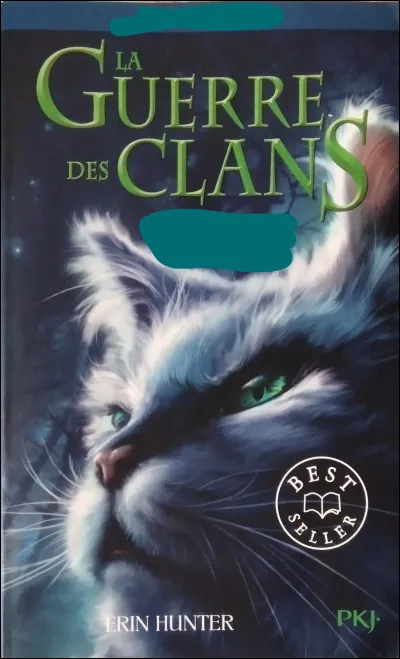 Ensuite, ce livre o&ugrave; il y a &Eacute;toile Bleue sur la premi&egrave;re de couverture...