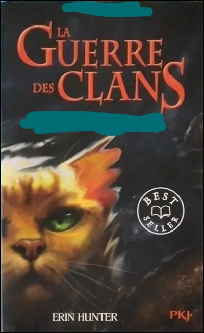 Puis, quel est ce livre ? Est-ce un hors s&eacute;rie ? Un livre de cycle ?