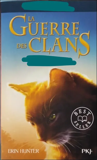 Wow ! On est d&eacute;j&agrave; &agrave; la question 9 ! Courage, c'est bient&ocirc;t termin&eacute;. Une seconde... Mais quel est ce livre ?