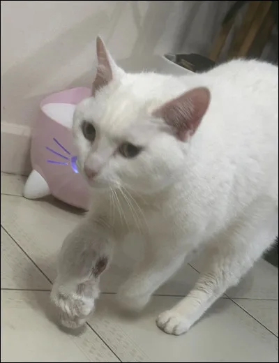 Encore, combien en as-tu, si tu en as ?