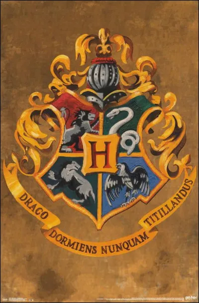 Dans quelle maison sont Hannah Abbot, Ernie Macmillan, Norbert Dragonneau et Susan Bones ?