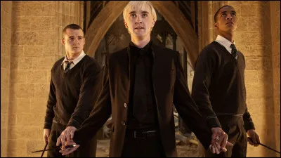 Quel est le statut de sang de Drago Malefoy ?