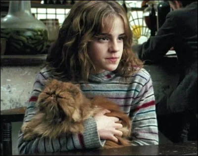 Qu'ont en commun James Potter, Lily Evans, Bertha Jorkins et Severus Rogue ?