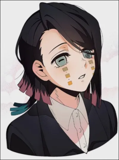 Dans lequel de ces arcs est-il pr&eacute;sent ?