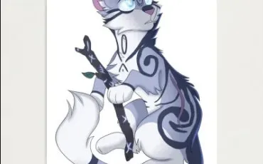 Quiz La guerre des clans