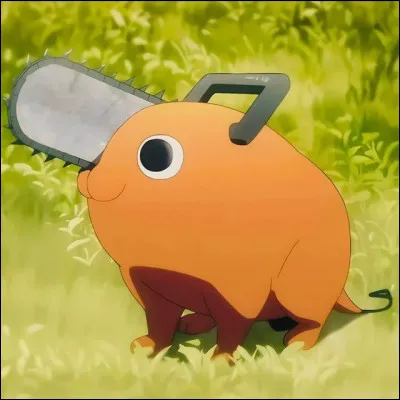 Qui est ce petit animal kawaii ?