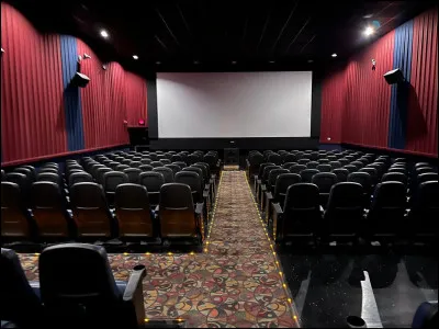 Enfin, la derni&egrave;re question ! Quel genre de films regardes-tu ?