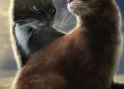 Test �tes vous digne d'�tre chef dans lgdc ?