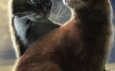 Quiz Test de personnalit�