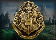 Test Dans quelle maison de Poudlard irais-tu ?