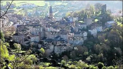 Des maisons &agrave; colombages tr&egrave;s hautes, un ch&acirc;teau en ruines, un superbe Christ sculpt&eacute; par Zadkine dans l'&eacute;glise... O&ugrave; sommes-nous ?