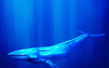 Quiz Culture g�n�rale