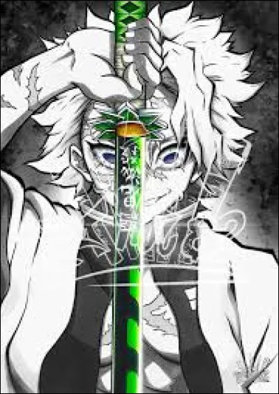 Quel style veux-tu ?