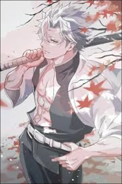 Comment consid&egrave;res-tu Sanemi Shinazugawa ?