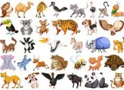 Quiz Le bon animal (en images) (2)