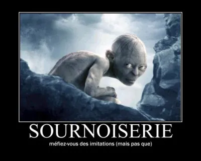 Si vous &ecirc;tes sournois(e), trompeur (euse), chafouin(e), alors vous &ecirc;tes assur&eacute;ment ...