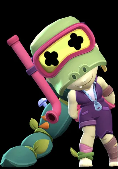 Quel est ce Brawler ?