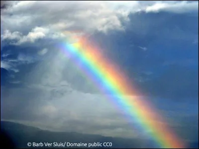 Quelle est ta couleur pr&eacute;f&eacute;r&eacute;e ?