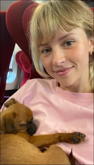 De quoi parle la chanson "WYW" ?