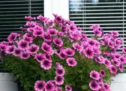 Quiz Culture en g�n�ral