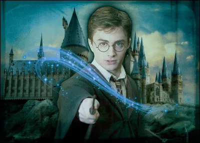 De quel plat raffole Harry Potter &agrave; Poudlard ?