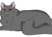 Quiz LGDC ~ Plume Grise