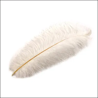 Quel animal poss&egrave;de des plumes ?