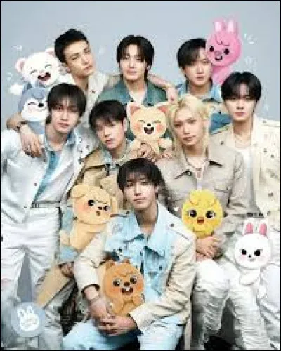 Quel serait ton r&ocirc;le dans un groupe de K-pop ?