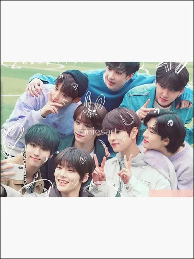 Quel r&ocirc;le joues-tu dans ton groupe ?