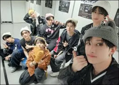 &Agrave; quel animal ressembles-tu visuellement ?