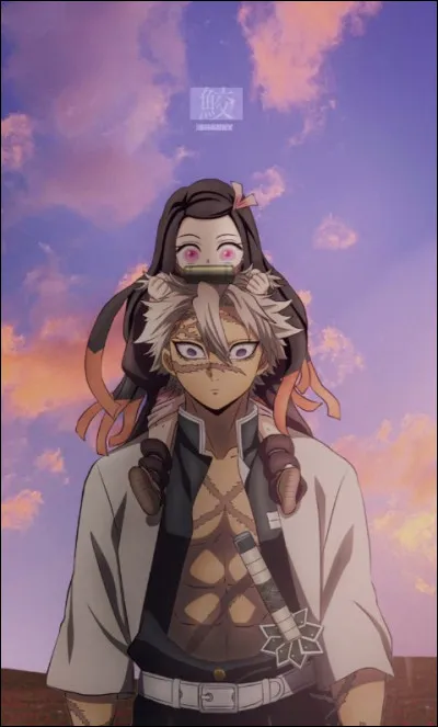 Quelle est la r&eacute;action de Sanemi lors de sa rencontre avec Nezuko ?