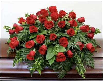 Comment s�appelle cette fleur ?