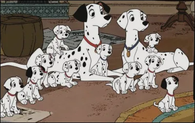 Quel est le nom de son Disney ?