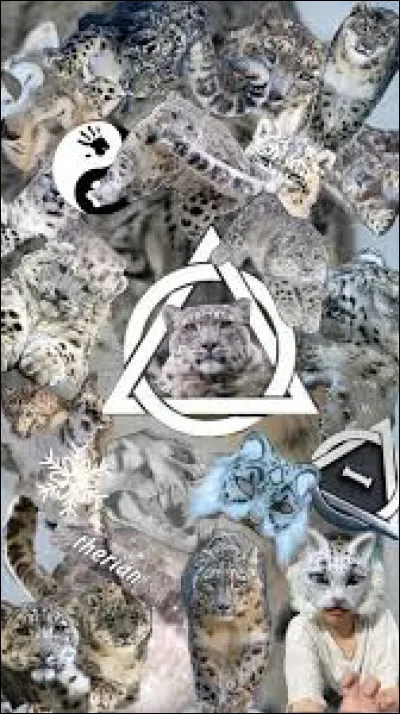 Tu pr&eacute;f&egrave;res�