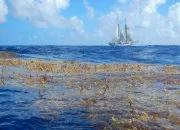 Test Quel genre d�eau es-tu ?