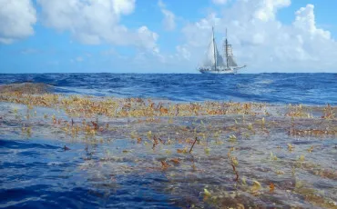 Quiz Test de personnalit�