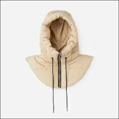 Capuche : Qui l'a chant&eacute; ?