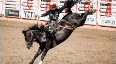 Rod&eacute;o : Qui l'a chant&eacute; ?