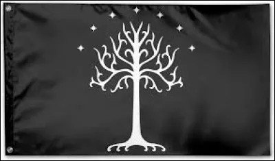 Qui est roi du Gondor ?