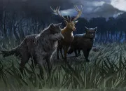 Test Animagi. Animagus. Quelle est votre forme animale ?