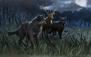 Quiz Test de personnalit�