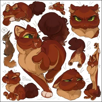 Top 4 : c'est la fille guerri&egrave;re de mon top 6. Son compagnon est le fils de l'ennemi de son p&egrave;re. C'est...