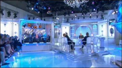 Qui pr&eacute;sentait l'&eacute;mission "Salut les Terriens !" ?