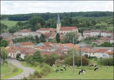 Nous partons en Lorraine, &agrave; Lerrain. Village de l'arrondissement de Neufch&acirc;teau, dont a for&ecirc;t a &eacute;t&eacute; ravag&eacute;e par la violente tornade du 11 juillet 1984, il se situe dans le d&eacute;partement ...