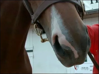 Qu'est-ce qu'un ladre ?